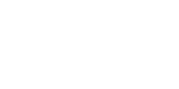 Stake UFC Canada logo
